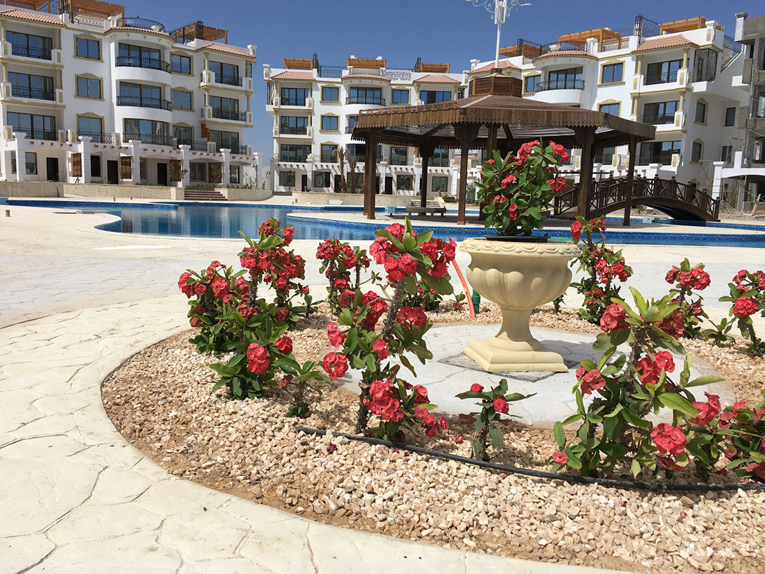 sharm house ti porta allo Sharm Hill e nella sua favolosa piscina 